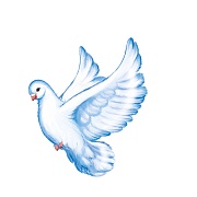 ФМ1-15587 Плакат вырубной А4. Голубь летит влево. Двухсторонний