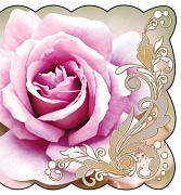 М-7159 Открытка мелкого формата (без надписи)