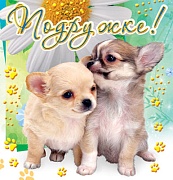 М-3551 Мини-открытка. Подружке!