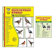 *Комплект. Дем. картинки СУПЕР Перелетные птицы (2 формата: 173х220 и 63х87) 
