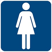 ШН-14708 Наклейки. На дверь туалета для женщин (95х95 мм)