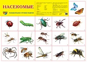 Демонстрационный плакат СУПЕР А2 Насекомые